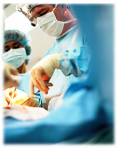 Organes auto-construits