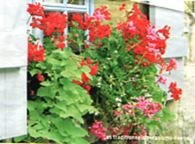 photo couverture 3180.bmp