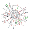 Horoscope th�me astral